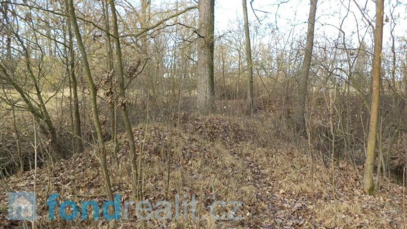 Prodej pozemku, Čejetice - Sudoměř, 62047 m2