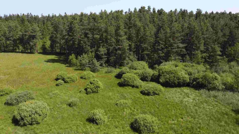 Prodej pozemku, Jílovice, 20535 m2