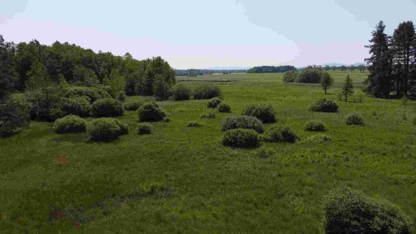 Prodej pozemku, Jílovice, 20535 m2