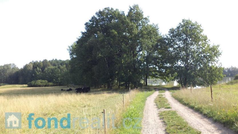 Prodej pozemku, Čejetice - Mladějovice, 3240 m2