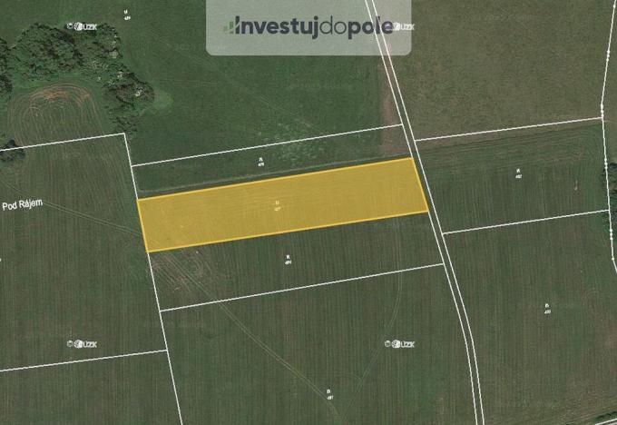 Prodej louky, Blíževedly - Litice, 622 m2
