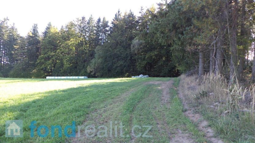 Prodej pozemku, Studená, 4992 m2