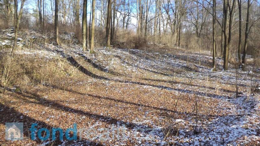 Prodej pozemku, Staré Město pod Landštejnem, 3575 m2