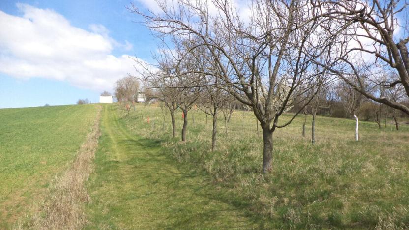 Prodej pozemku, Hluk, 984 m2