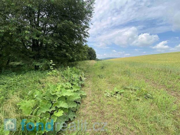 Prodej pozemku, Prusinovice, 3950 m2