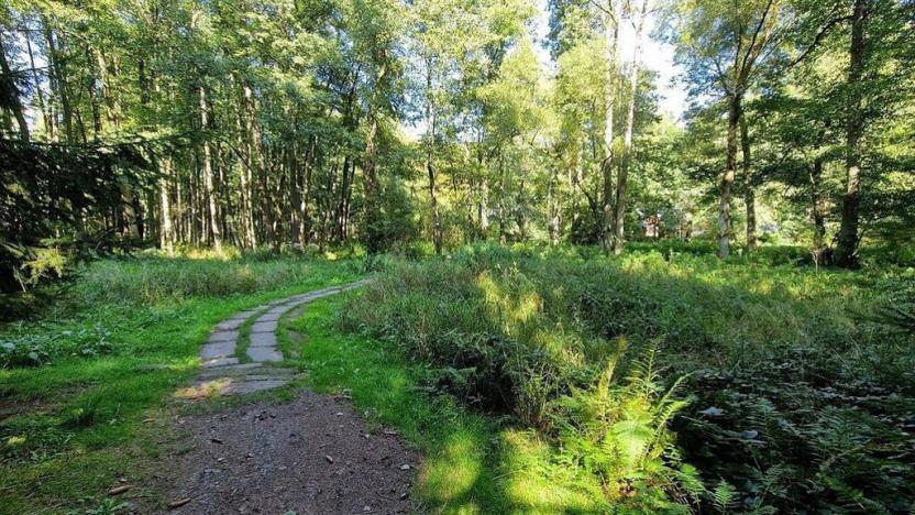 Prodej ubytování, Kohoutov, 772 m2