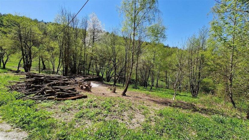 Prodej pozemku, Radčice, 1417 m2