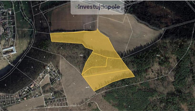 Prodej louky, Bojanovice - Malá Lečice, 56080 m2