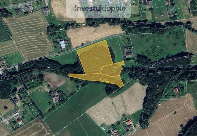 Prodej louky, Horní Bludovice, 11106 m2