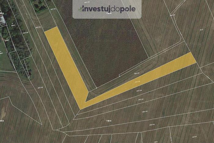 Prodej pole, Třemošná, 7281 m2