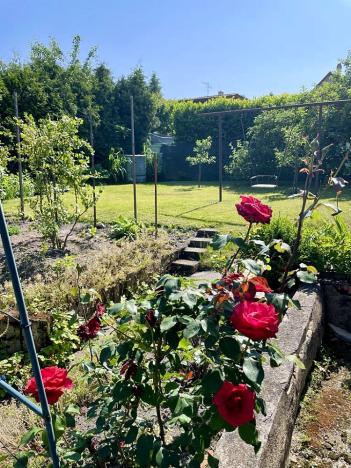 Prodej rodinného domu, Třemošná, 1. máje, 484 m2