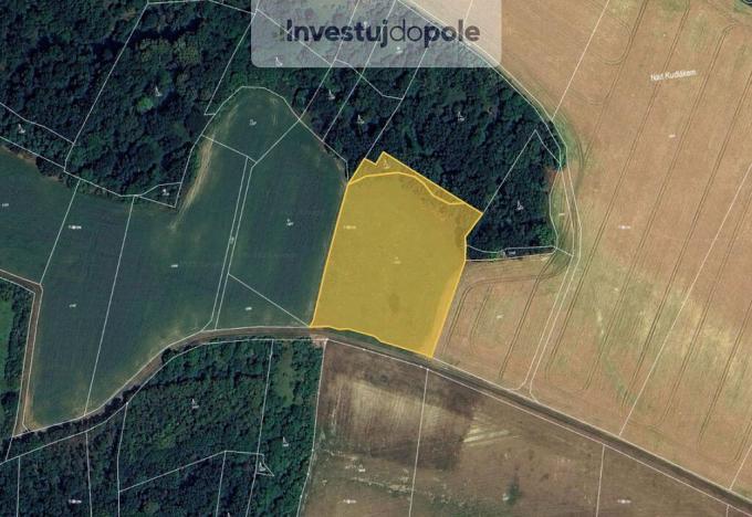 Prodej louky, Vysoká - Strážnice, 10931 m2