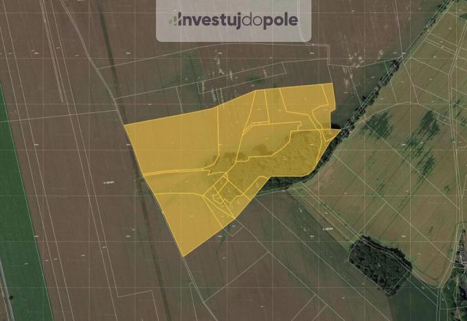 Prodej pole, Moravany, 181591 m2