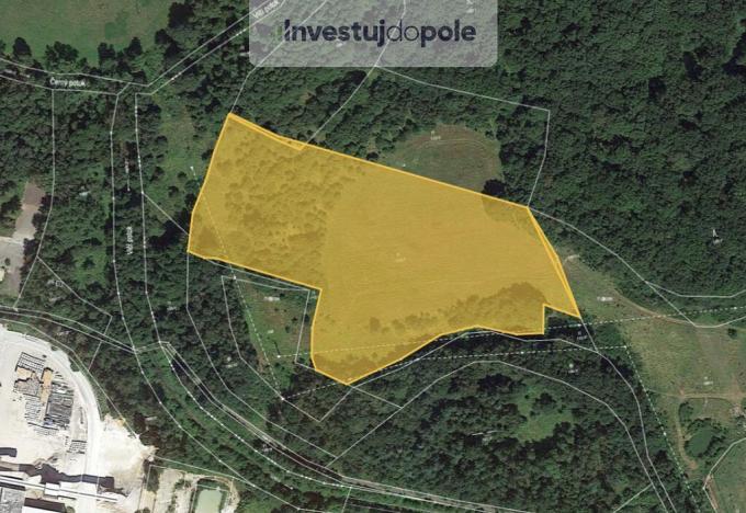 Prodej louky, Nová Role - Jimlíkov, 6450 m2