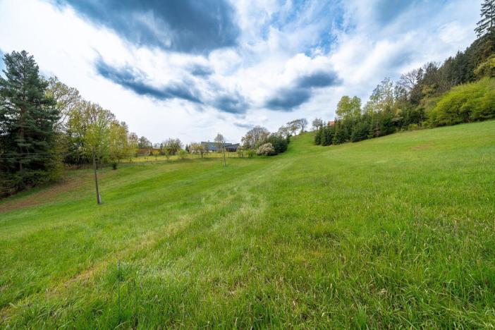 Prodej pozemku, Nová Paka - Zlámaniny, 3116 m2