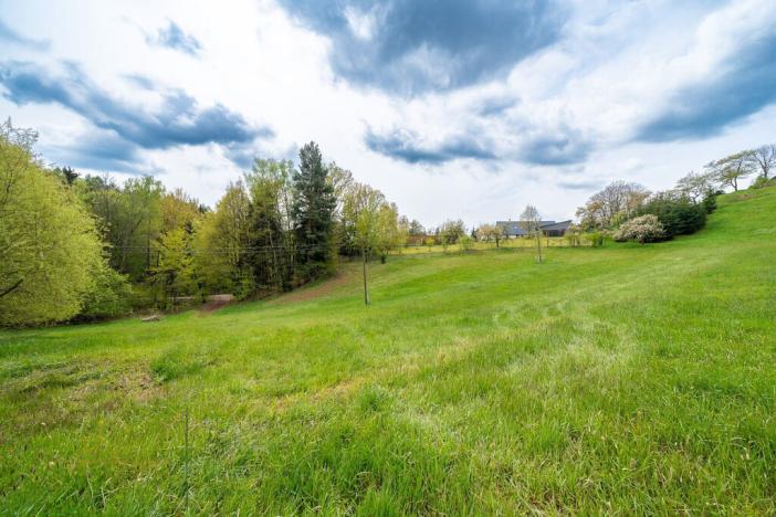 Prodej pozemku, Nová Paka - Zlámaniny, 3116 m2