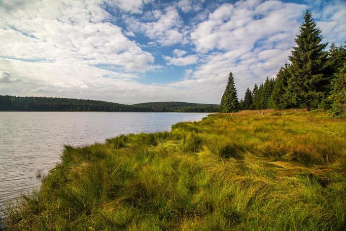 Prodej rodinného domu, Bedřichov, 703 m2