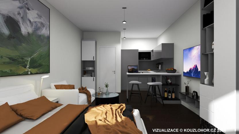 Prodej bytu 1+kk, Janov nad Nisou - Hrabětice, 18 m2