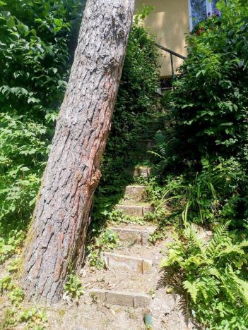 Prodej chaty, Čerňovice, 55 m2