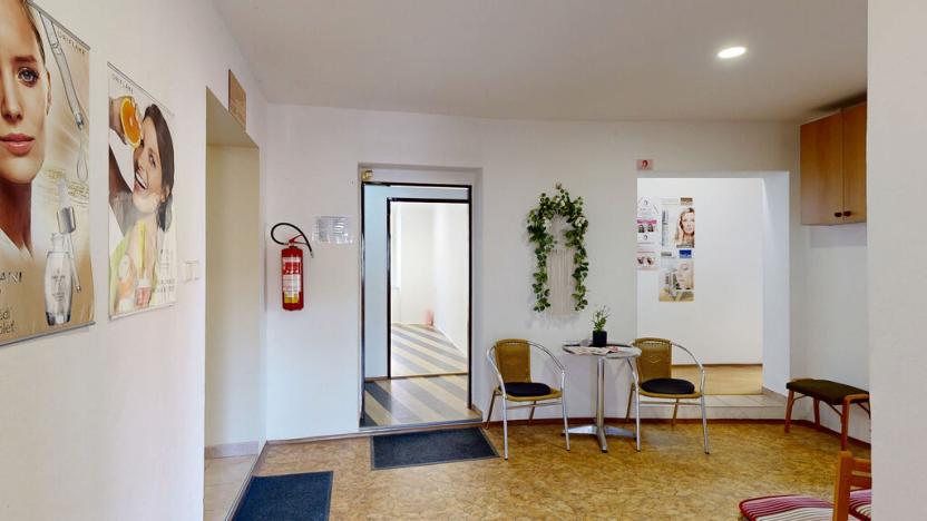 Prodej obchodního prostoru, Třebíč - Vnitřní Město, Hasskova, 294 m2