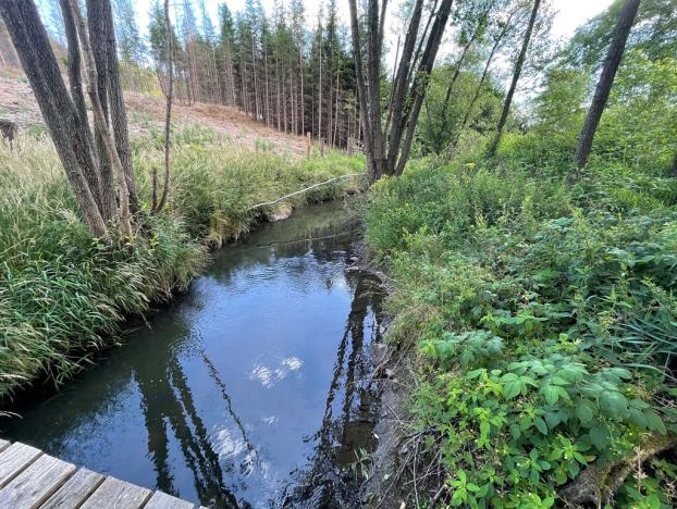 Prodej pozemku, Nová Cerekev - Částkovice, 2131 m2