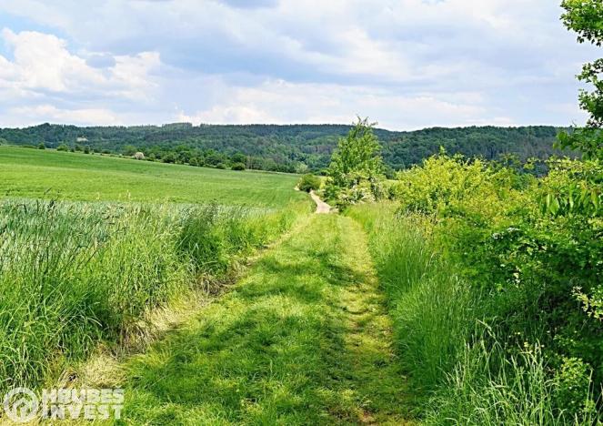 Prodej pozemku pro bydlení, Dlouhá Loučka, 1515 m2