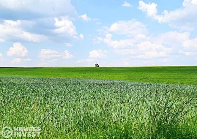 Prodej pozemku pro bydlení, Dlouhá Loučka, 1515 m2