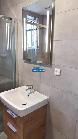 Pronájem bytu 1+kk, Olomouc, Rokycanova, 93 m2