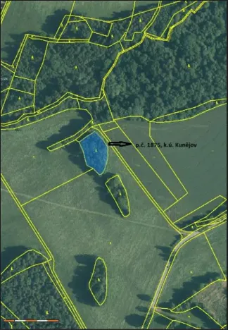 Prodej lesa, Člunek, 2585 m2