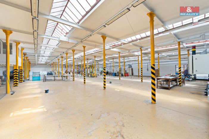 Prodej výrobních prostor, Bílá Třemešná, 6921 m2