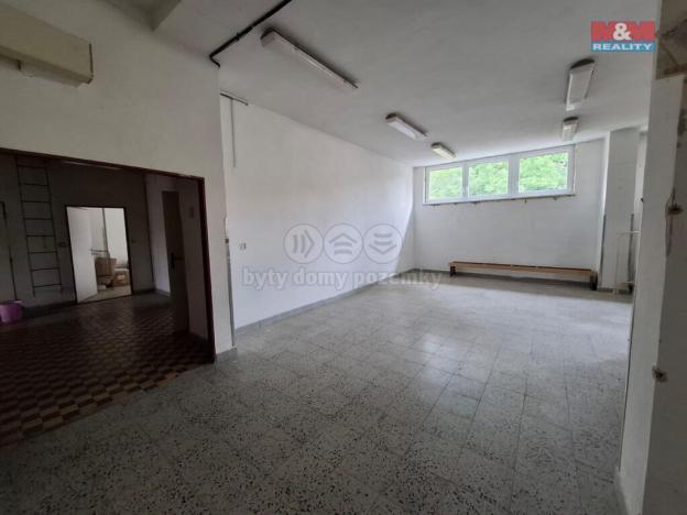 Pronájem obchodního prostoru, Čestice, 484 m2