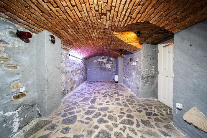 Prodej restaurace, České Budějovice, nám. Přemysla Otakara II., 48 m2