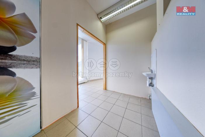 Prodej obchodního prostoru, Písek, Čechova, 53 m2