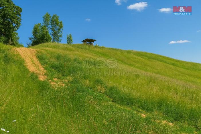 Prodej pozemku pro bydlení, Svijanský Újezd - Močítka, 33850 m2
