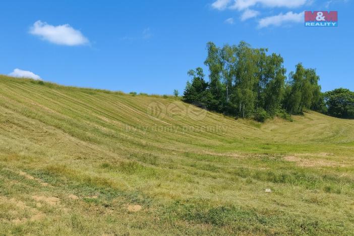 Prodej pozemku pro bydlení, Svijanský Újezd - Močítka, 33850 m2