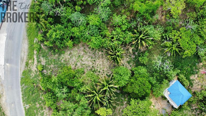 Prodej pozemku, Coxen Hole, Roatán, Honduras, 716 m2