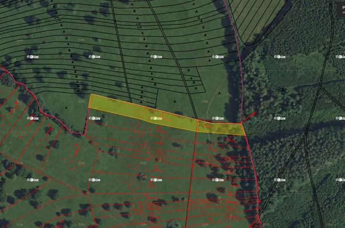 Prodej pole, Nová Lhota, 253 m2