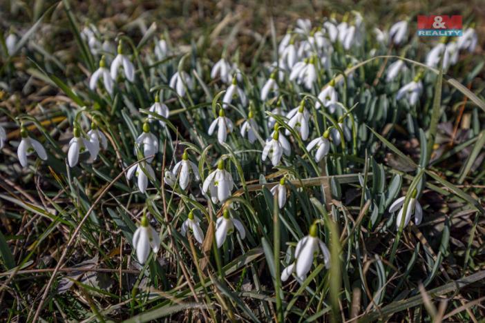Prodej pozemku pro bydlení, Olovnice, 1856 m2