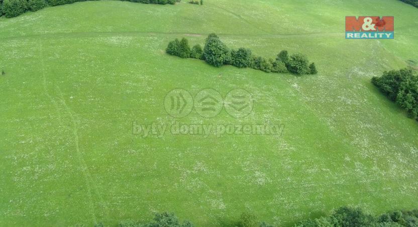 Prodej louky, Štramberk, 4766 m2