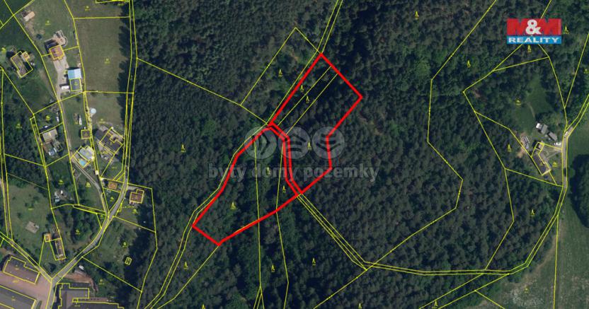 Prodej lesa, Mírová pod Kozákovem - Sekerkovy Loučky, 5461 m2