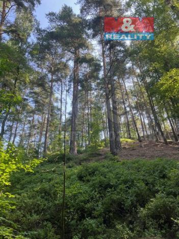 Prodej lesa, Mírová pod Kozákovem - Sekerkovy Loučky, 5461 m2