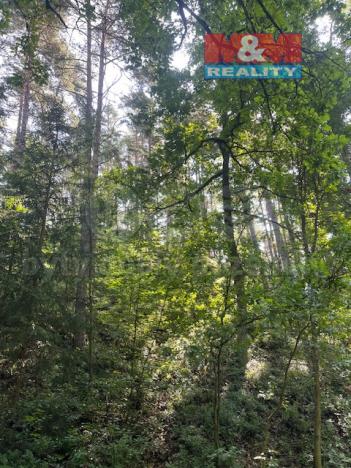 Prodej lesa, Mírová pod Kozákovem - Sekerkovy Loučky, 5461 m2