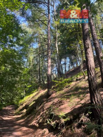 Prodej lesa, Mírová pod Kozákovem - Sekerkovy Loučky, 5461 m2