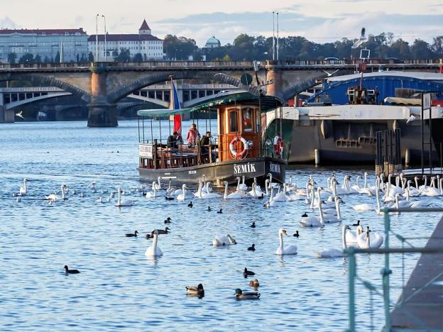 Prodej bytu 5+kk, Praha - Nusle, Bělehradská, 203 m2