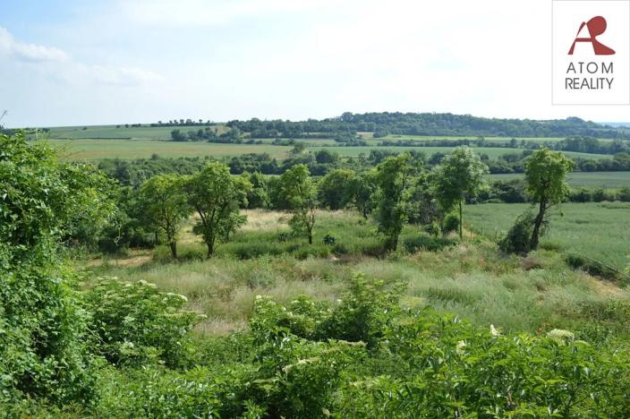 Prodej rodinného domu, Nebužely, 300 m2