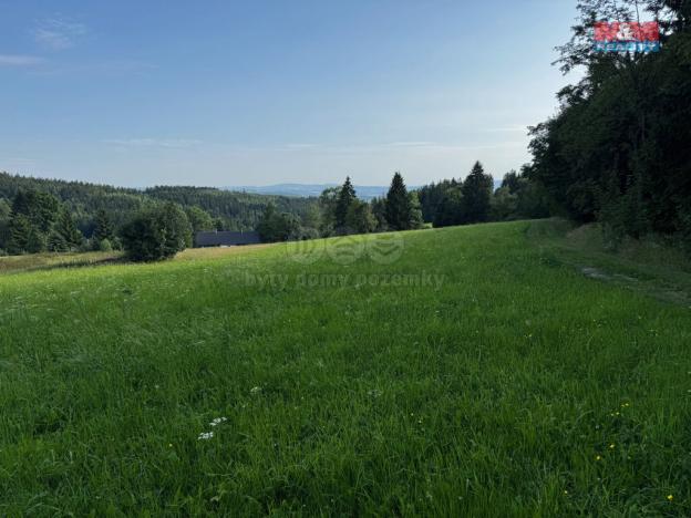 Prodej louky, Kořenov - Rejdice, 7880 m2