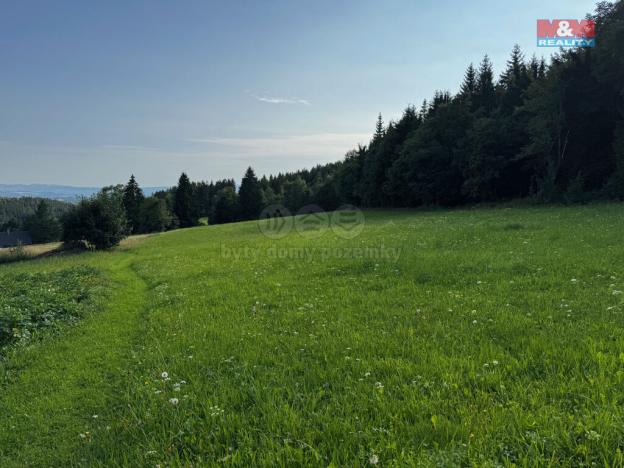 Prodej louky, Kořenov - Rejdice, 7880 m2