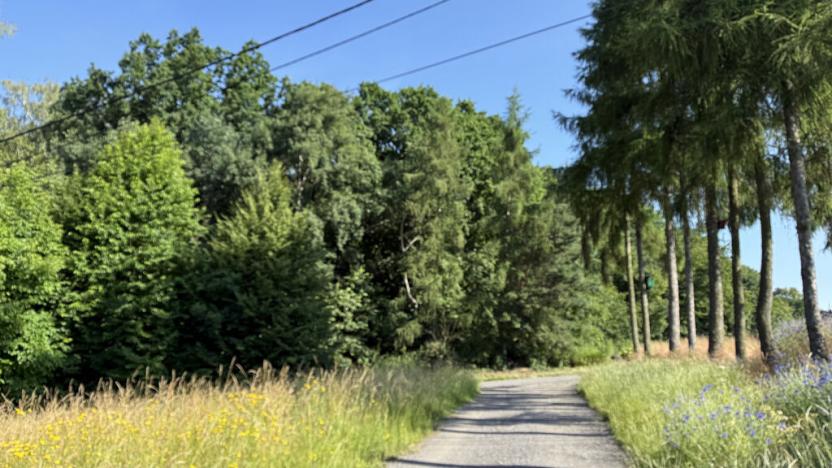 Pronájem louky, Ostrava - Polanka nad Odrou, K Lípě, 9850 m2