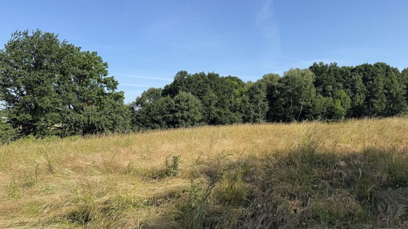 Pronájem louky, Ostrava - Polanka nad Odrou, K Lípě, 9850 m2