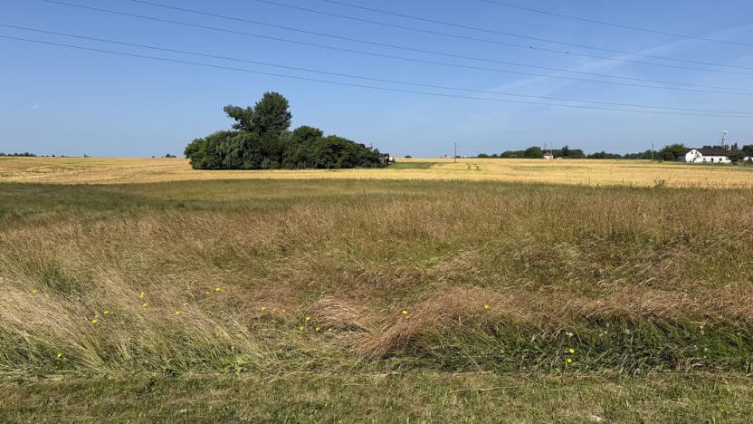 Pronájem louky, Ostrava - Polanka nad Odrou, K Lípě, 9850 m2